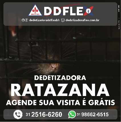 Dedetização de ratos e roedores - nova suissa