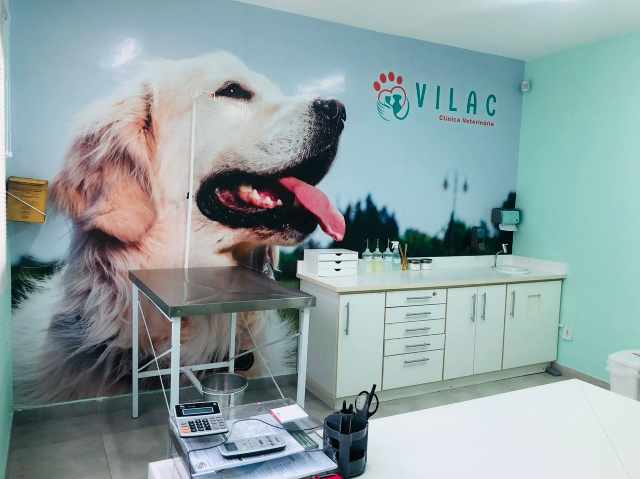 Foto 1 - Clinica veterinaria vilac 24 horas - unidade 2